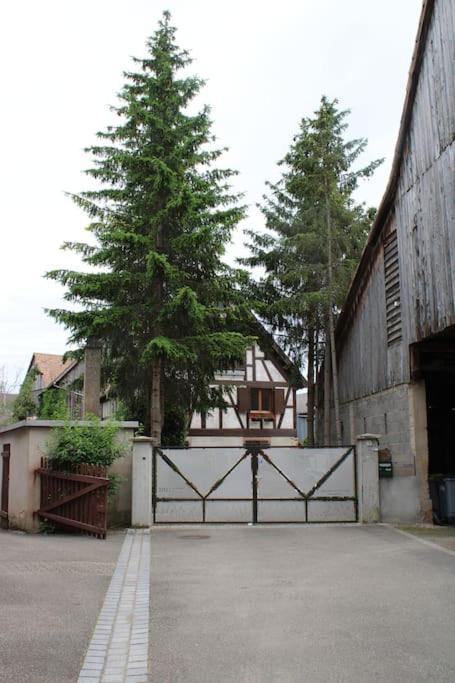 Spacieux Duplex 1 A 6 Personnes Ebersheim Exterior foto